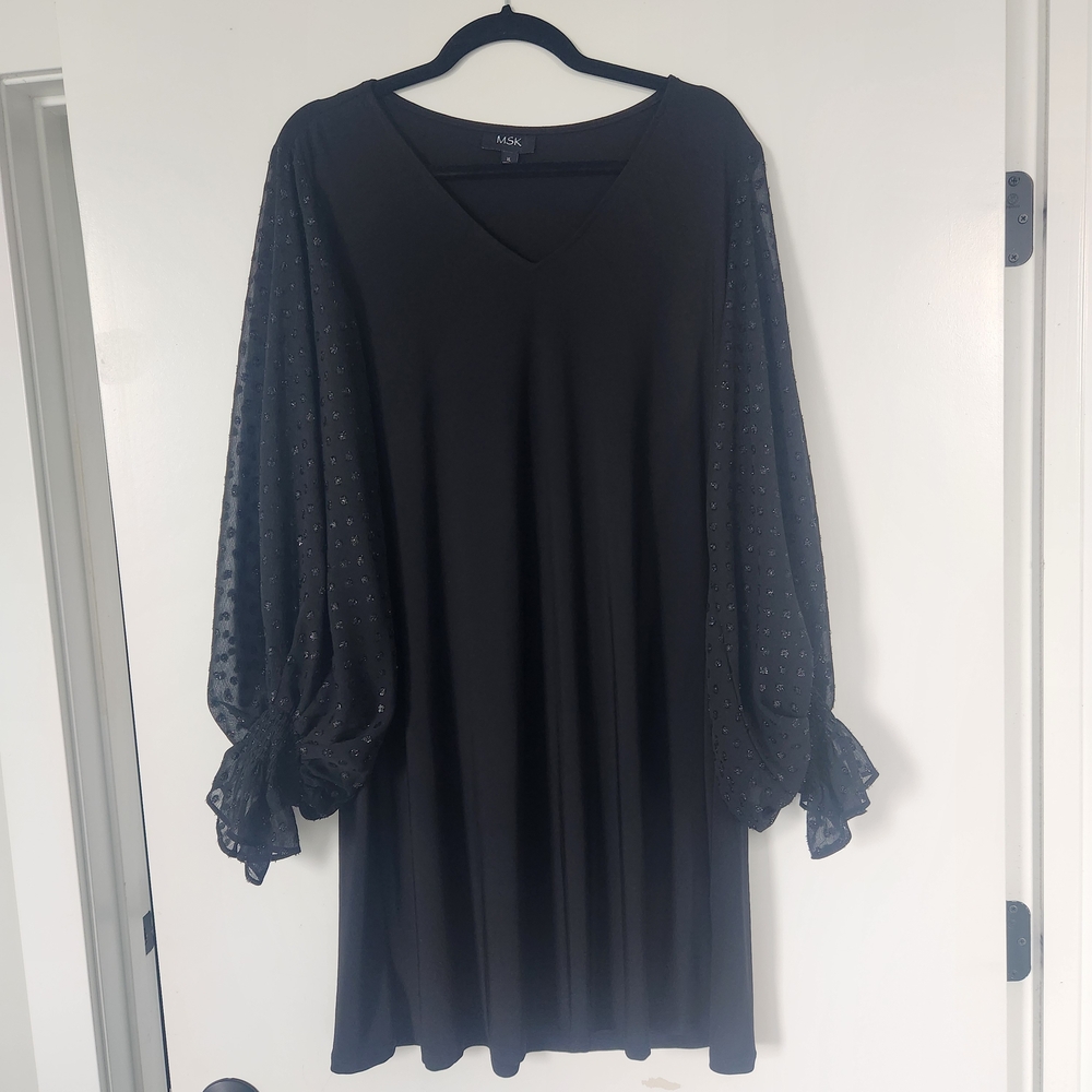 MSK Black Dress with Sheer Long Sleeves